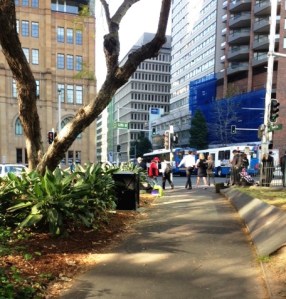 Big Issue Vendor Sydney CBD